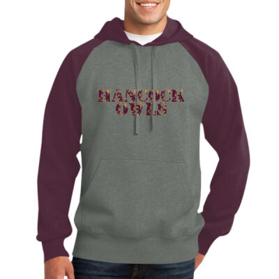 Owls - Raglan Colorblock Pullover Hooded Sweatshirt Thumbnail